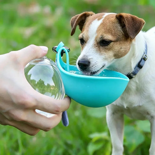 Portable Pet Water Bottle and Bowl
